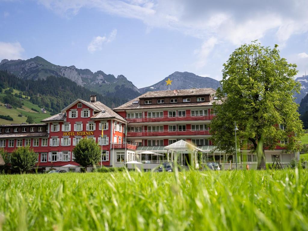 安特瓦塞尔斯特恩安特瓦塞尔酒店的山间酒店,以绿色草为背景