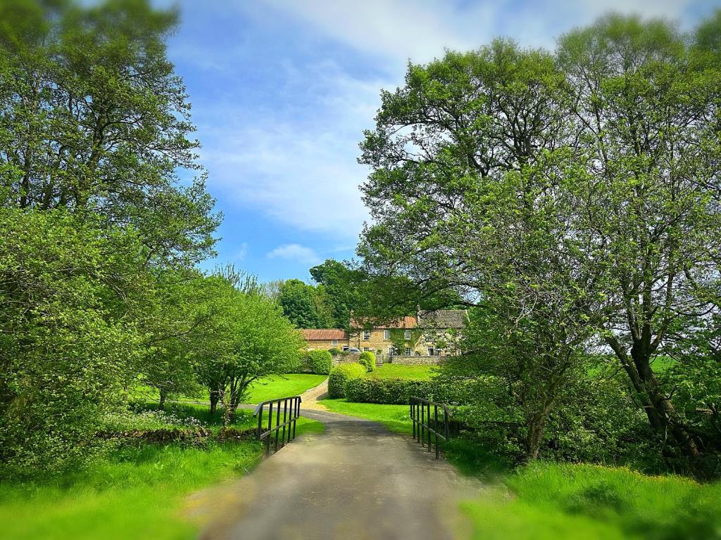 斯卡伯勒Old Orchard Cottage, Wykeham的一条土路穿过一个有树木和栅栏的田野