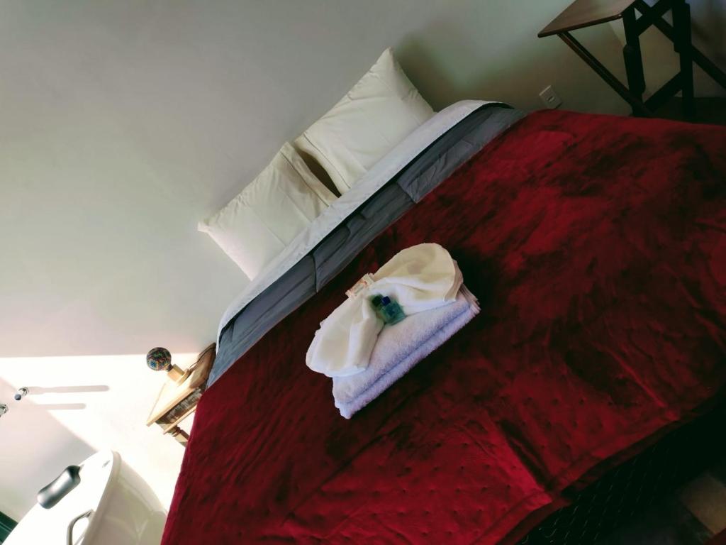 蒙特韦尔迪Montanha Home的一间卧室配有一张红色棉被的床