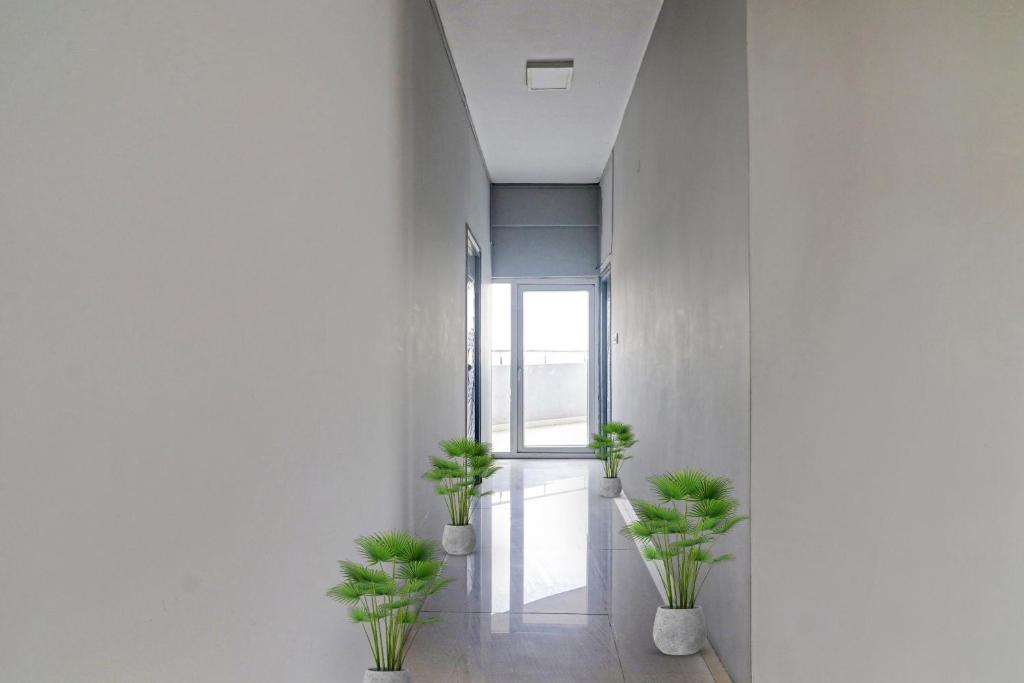 海得拉巴Townhouse De Alphabet的走廊上设有三盆植物和一扇窗户