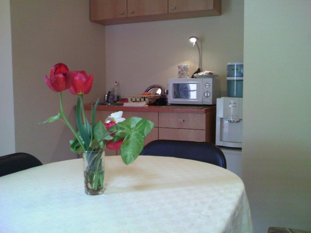 索非亚阿维尔宾馆的一张桌子上一束红玫瑰花