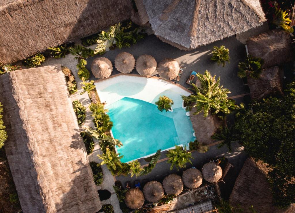 莫阿尔博阿Secret paradise moalboal的享有棕榈树游泳池的顶部景致