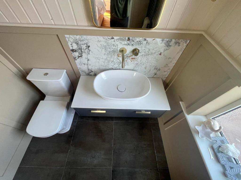 纽卡斯尔Grey Heron Townhouse的一间带水槽和卫生间的小浴室