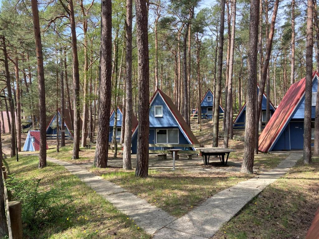 特拉森海德Finndorf am Strand的森林里的一组帐篷,配有野餐桌