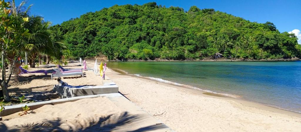 爱妮岛MG Chateau Resort的海滩上,有椅子和树木,还有大海