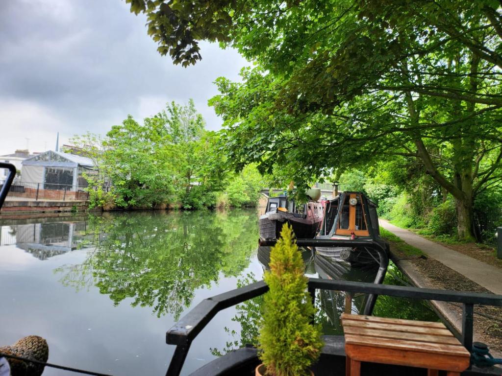 伦敦Unique Canal Boat in London Centre for Family & Friends的一条河上长着长凳和树木的船