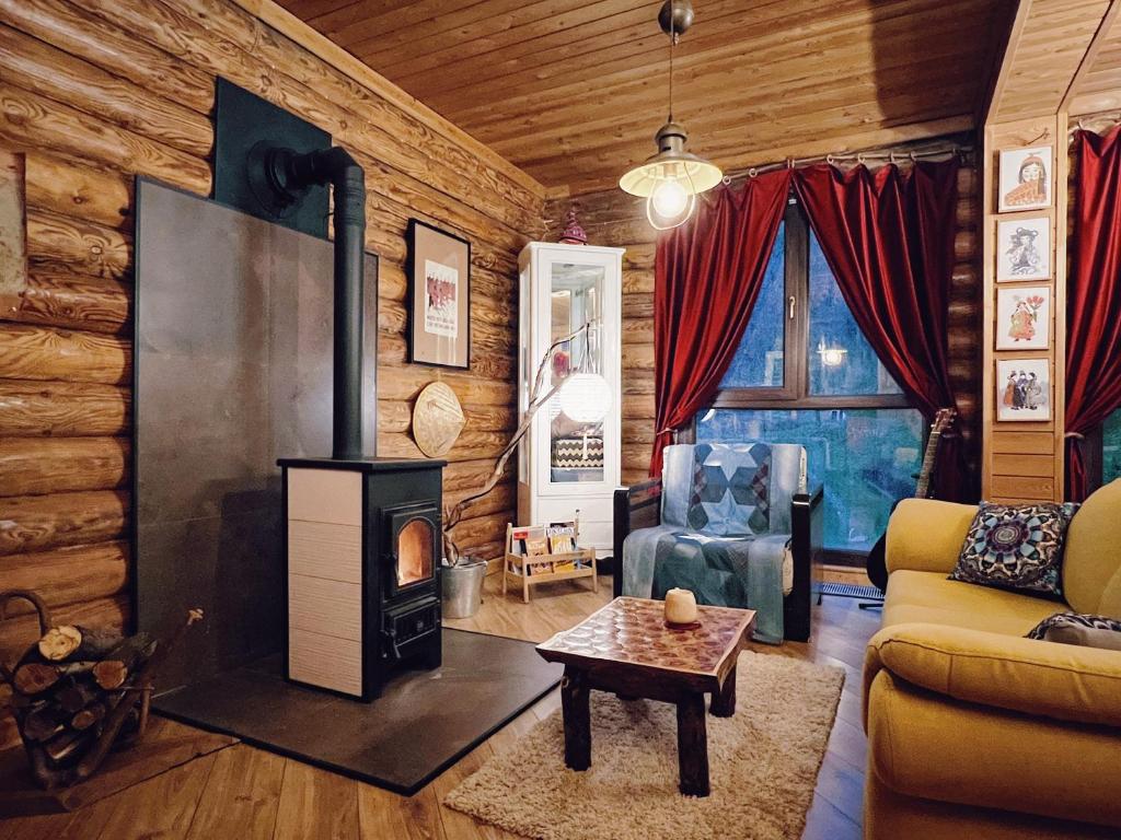 阿拉木图Sabay Sai Wooden Guesthouse in The National Park的小木屋内带壁炉的客厅