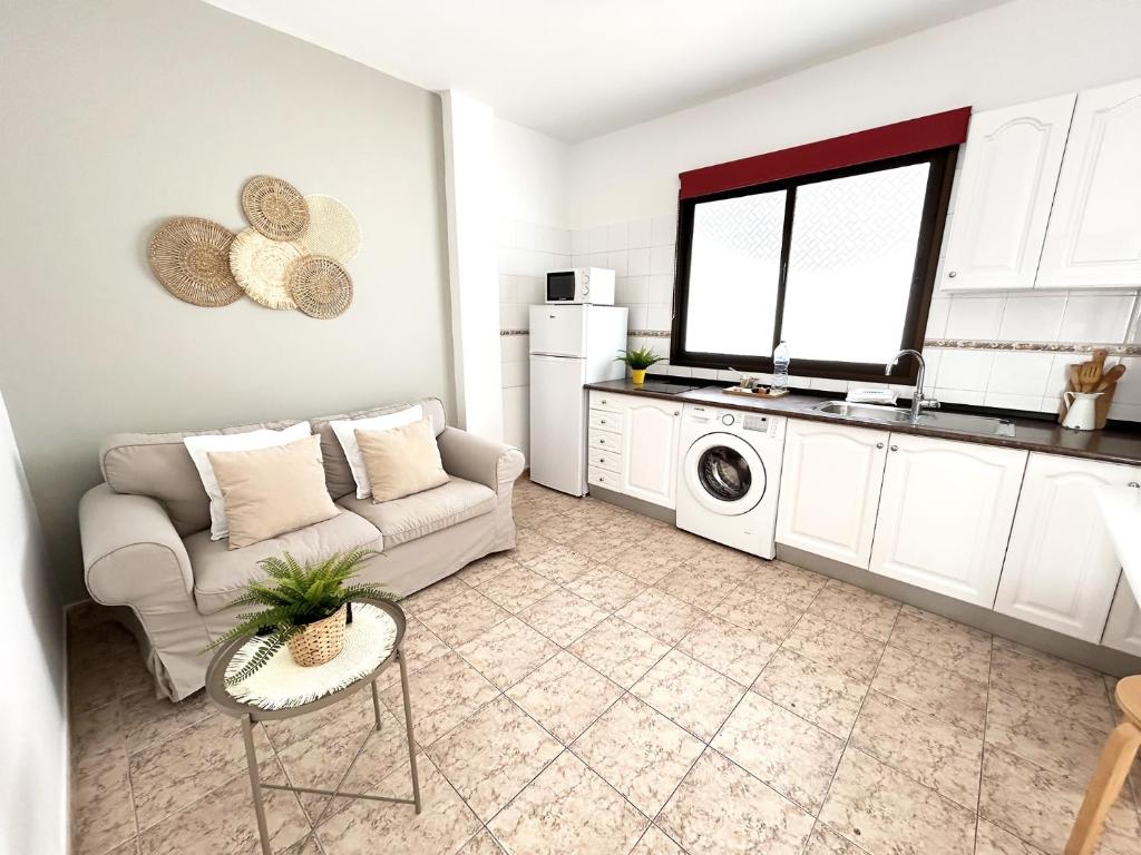 阿雷西费Mahostly Apartamento Comillas PH的带沙发和洗衣机的客厅