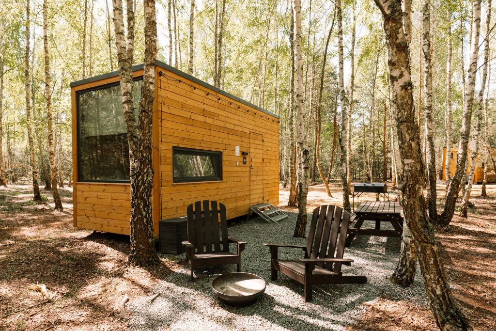 DudkyУЛІС Кебіни的树林中的小屋,配有两把椅子和一张野餐桌