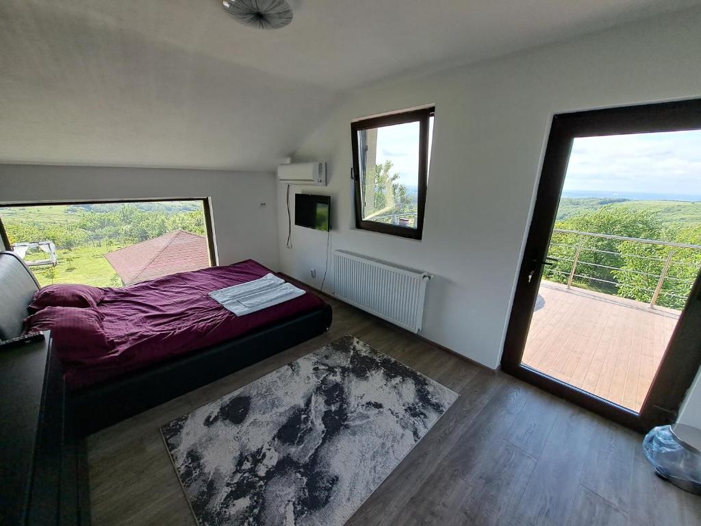 SeciuCasa 3 Catei Veseli的一间小卧室,配有床和大窗户