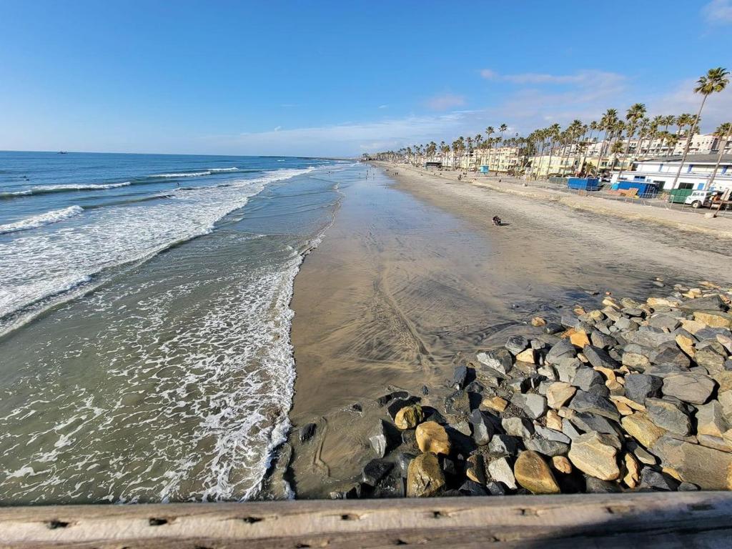 奥欣赛德Cozy Oceanside Retreat-Walk to Beach!的一片拥有岩石、海洋和棕榈树的海滩