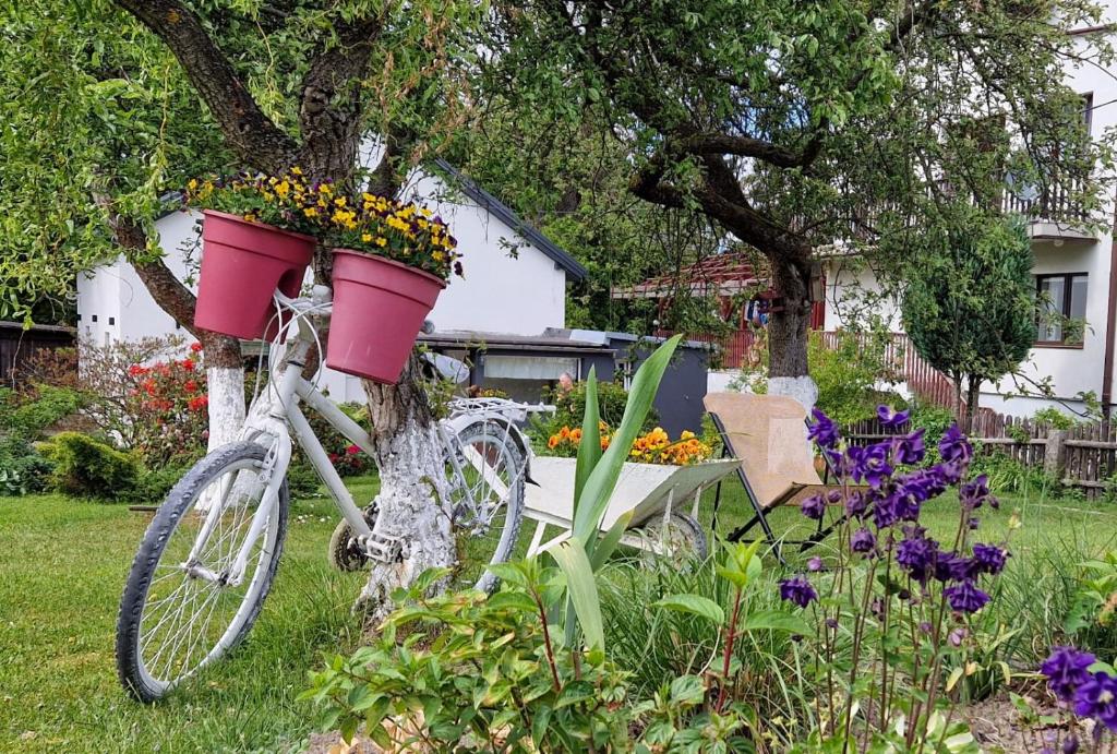 波兰尼卡-兹德鲁伊Zakątek u Hani的一辆自行车,上面有花篮子,贴在树上