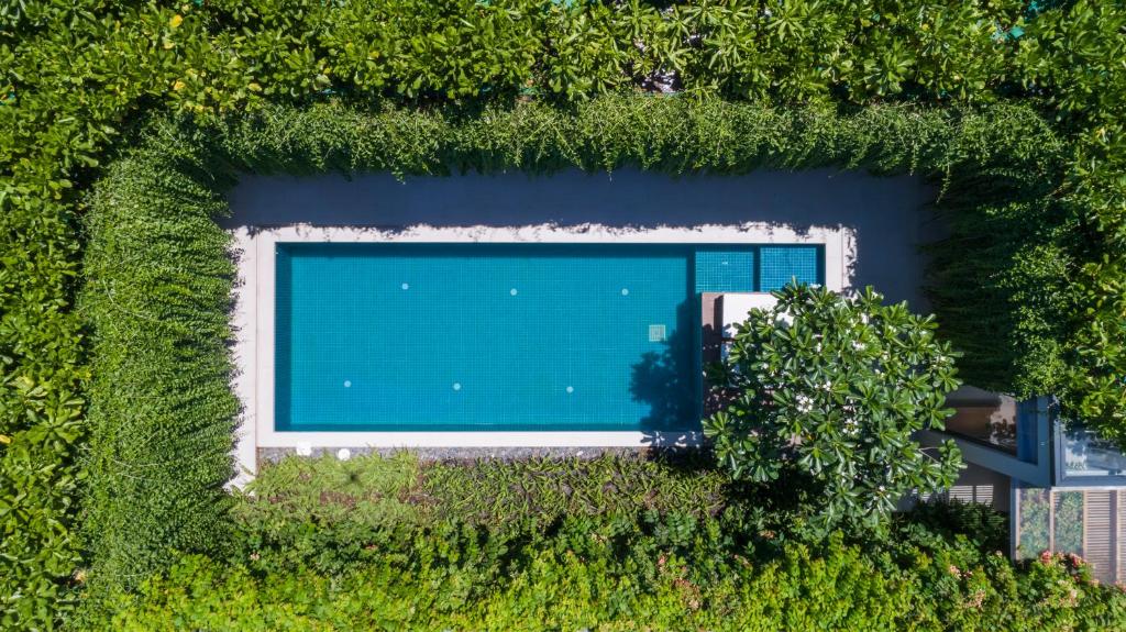 富国Villa Wyndham Phu Quoc的常春藤覆盖的游泳池的顶部景色