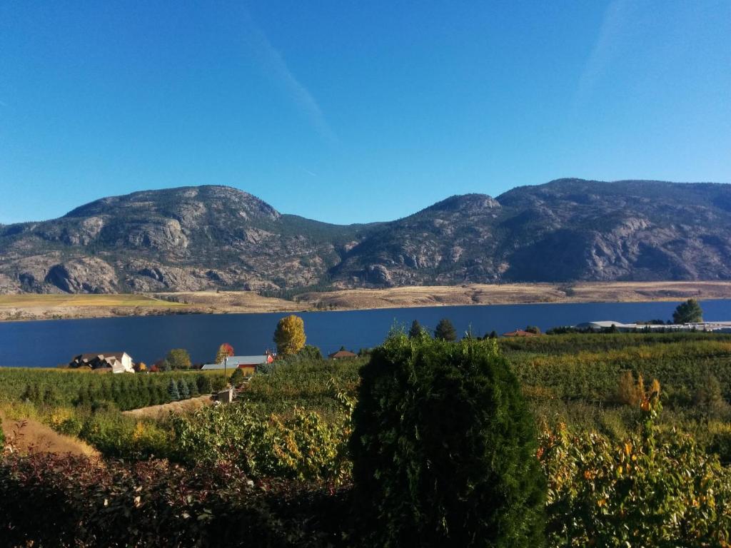 奥索尤斯西列加别墅酒店的享有远处湖泊和山脉的美景。