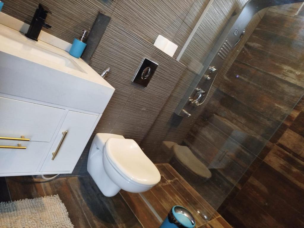杰拉什Nirvana Chalets的浴室配有卫生间、盥洗盆和淋浴。