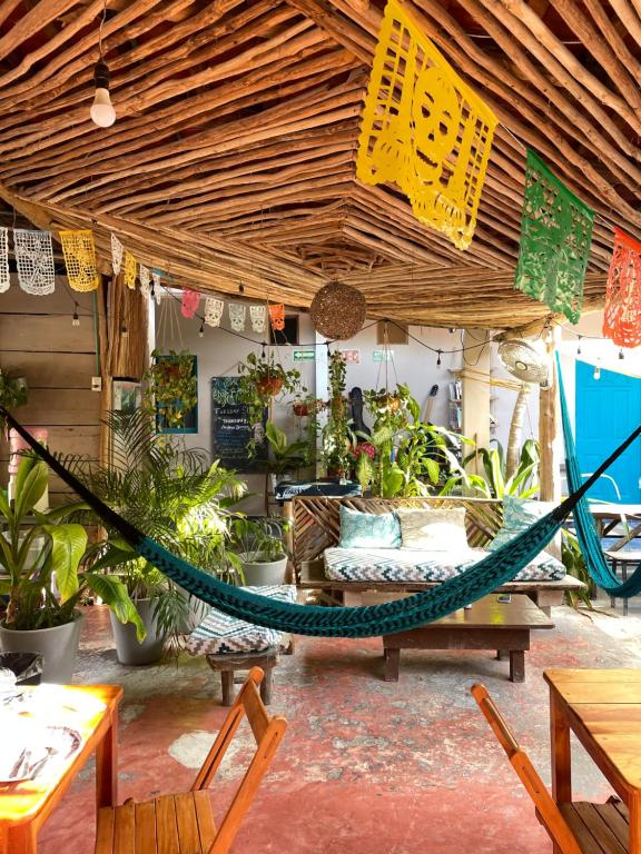 奥尔沃克斯岛Barco Verde Hostel的植物繁茂的房间里,吊床