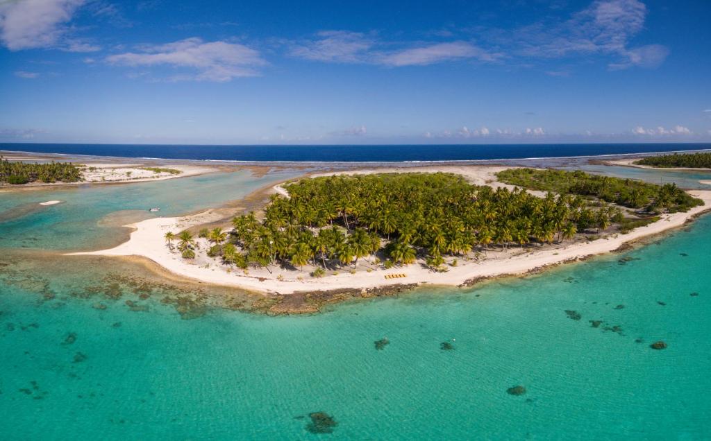 提克豪Fafarua Ile Privée Private Island的海洋中的一个岛屿,在水中种有树木