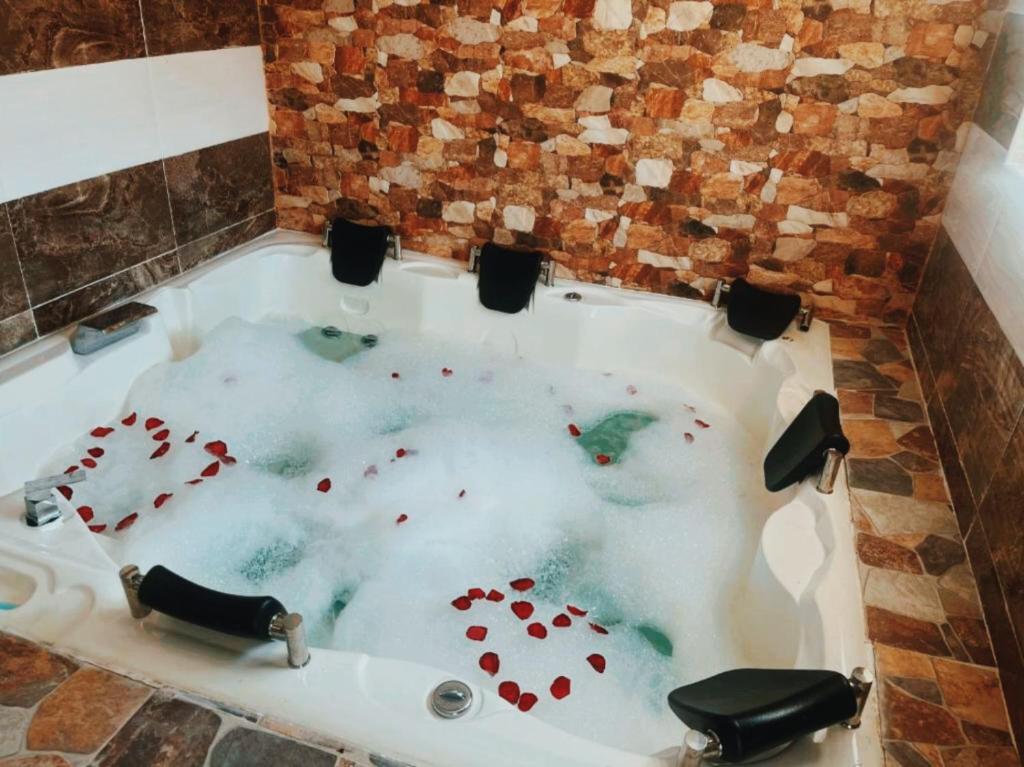 巴耶杜帕尔HOTEL REAL DEL VALLE的浴室里装满红心的浴缸