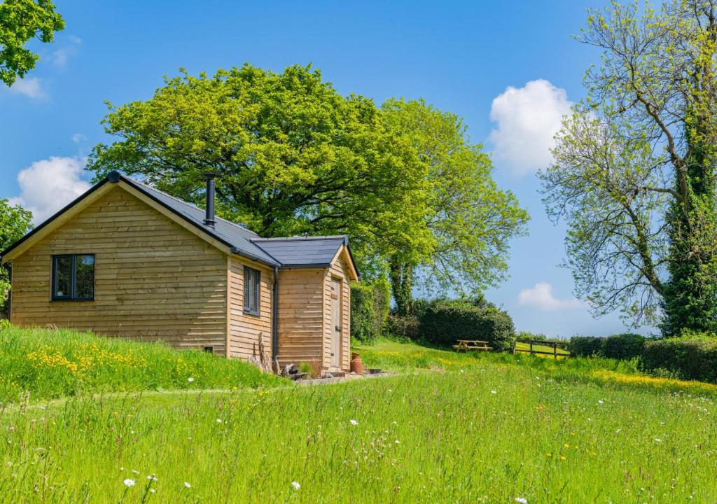 欧克汉普敦Place Farm Cabin的草场上的一个小木房子