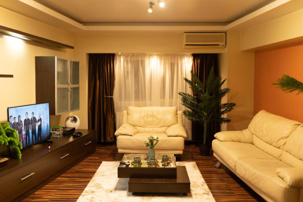 布加勒斯特Apartament 4 camere Unirii的带沙发和电视的客厅
