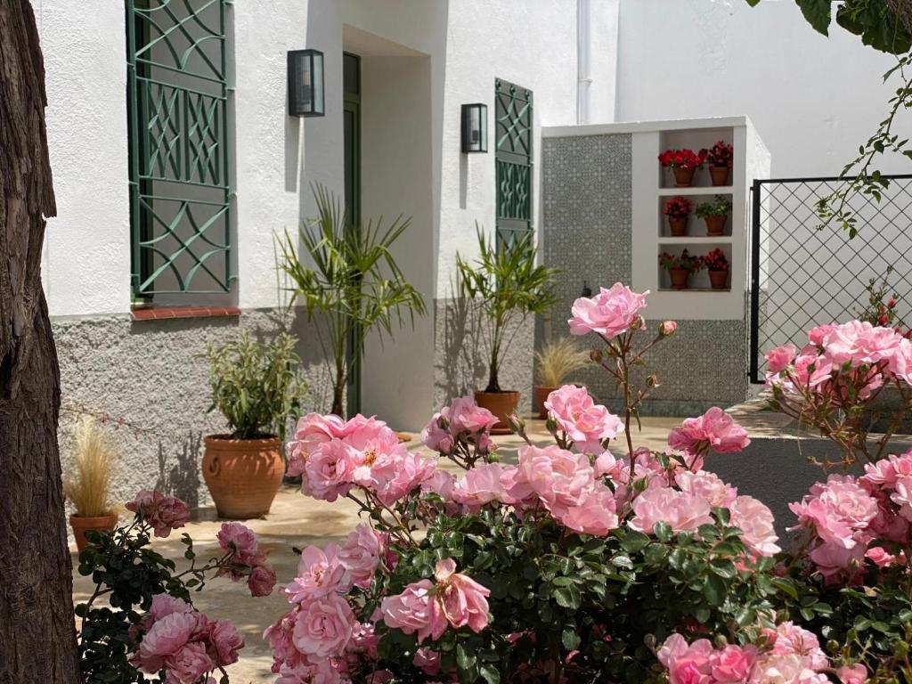 代尔特布雷Les Filles (antiga Fonda de la Parra)的一座花园,在一座建筑前方种有粉红色花卉