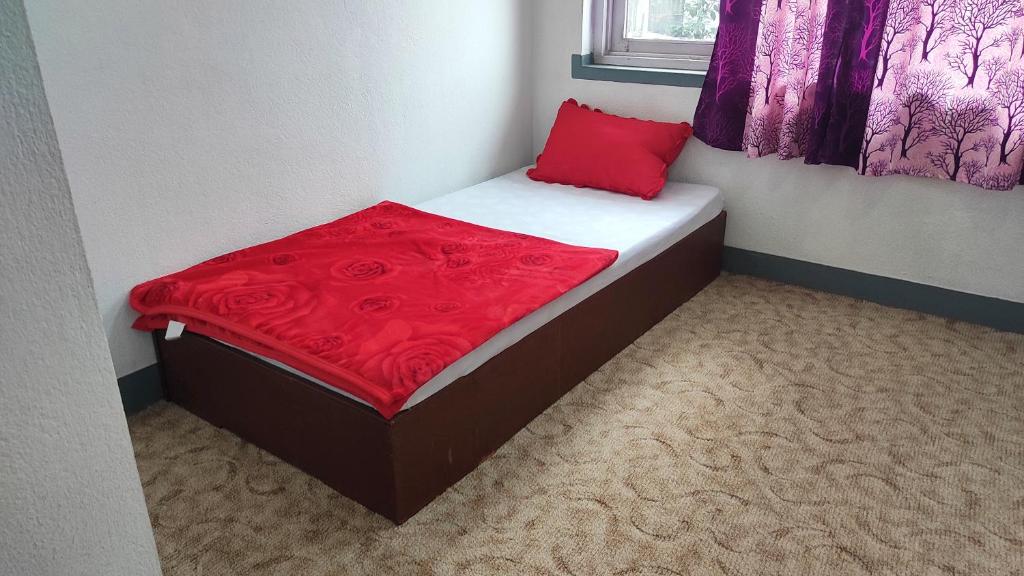 帕坦Budget Backpacker's Hostel的一张带红色毯子的小床和一个窗口