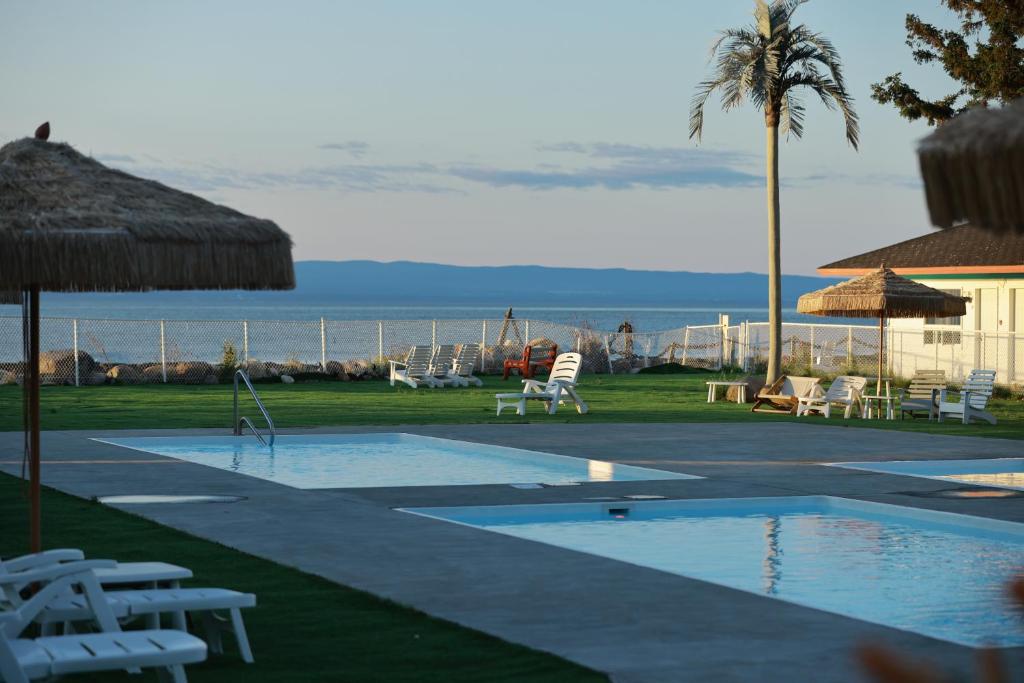 库德尔岛拉罗什普鲁乎斯酒店的一个带椅子的游泳池、棕榈树和大海