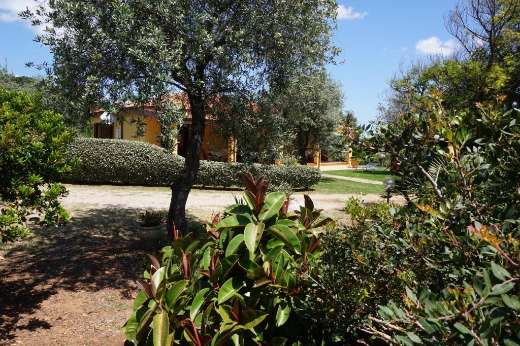 阿尔盖罗洛萨那别墅的一座种有树木和灌木的花园以及一座建筑