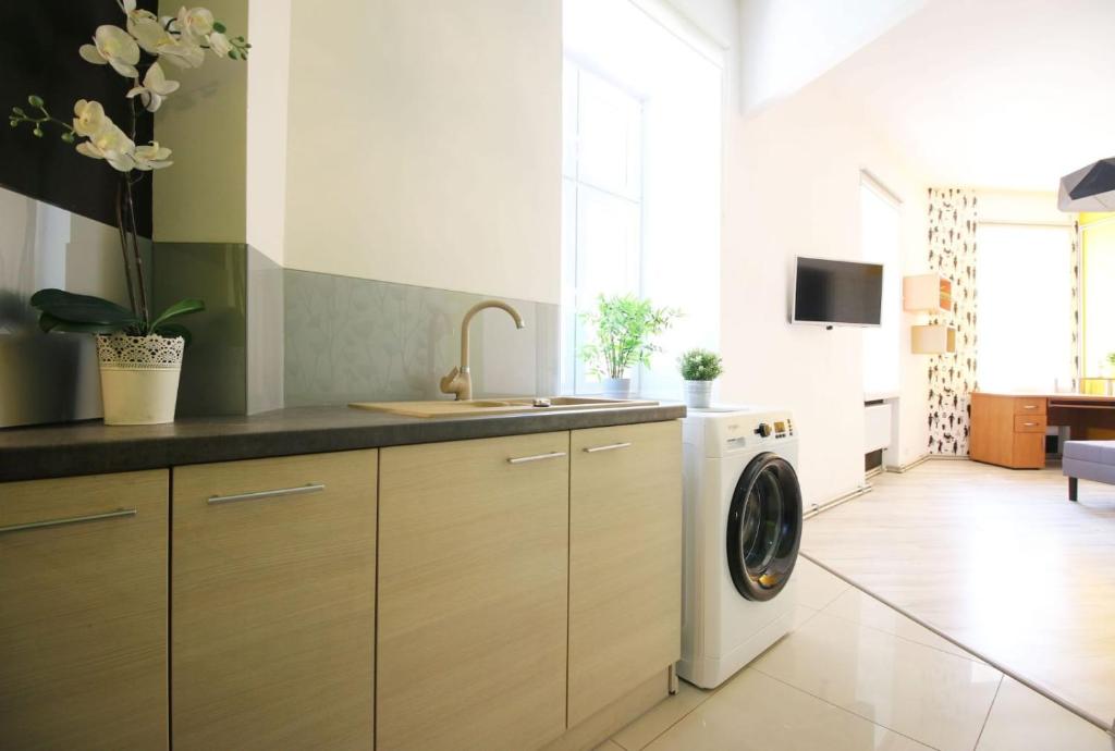 罗兹Fabryczna Centrum Rooms的厨房配有水槽和洗衣机