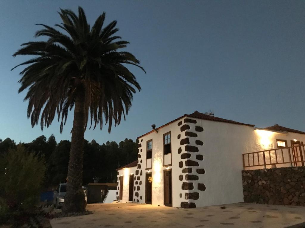 蓬塔戈尔达Auténtica Casa Rústica Canaria的前面有棕榈树的建筑