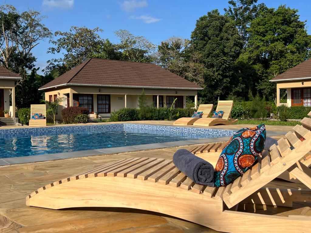 阿鲁沙Tanzania Safari Lodge的游泳池旁的木凳