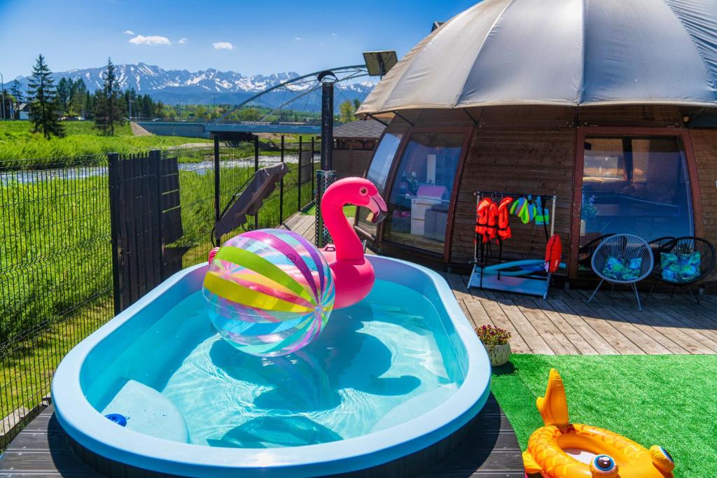 波罗宁GORSKI RESORT Lux Apartments Jacuzzi & Sauna的一座游泳池,里面装着橡皮鸭和球