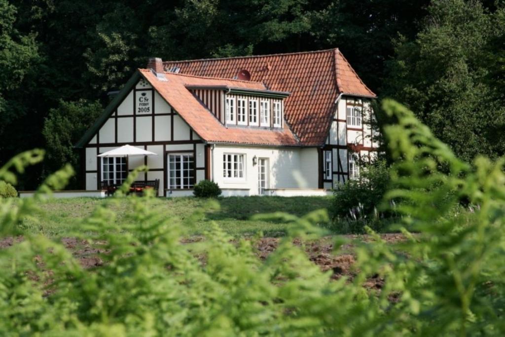 LüdersburgAlte Schäferei - Schäferstube的红屋顶的黑白房子