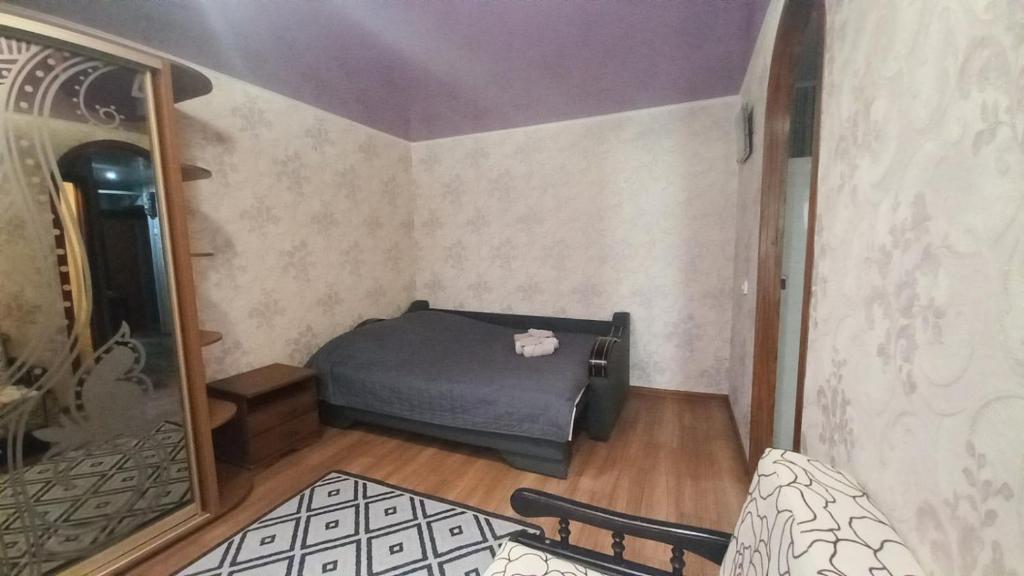 克里沃罗格Однокімнатна квартира на вулиці Володимира Великого 22的小房间设有床和镜子