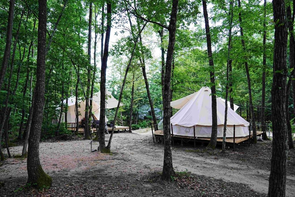 安昙野市Glamping Azumino BASE Polecan - Vacation STAY 49297v的树林中的一个帐篷