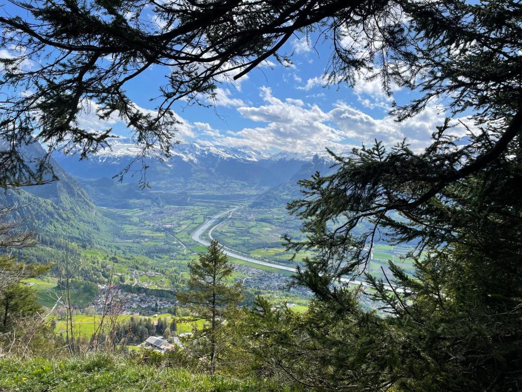 特里森贝格Berggasthaus Matu的透过山路的树木欣赏风景