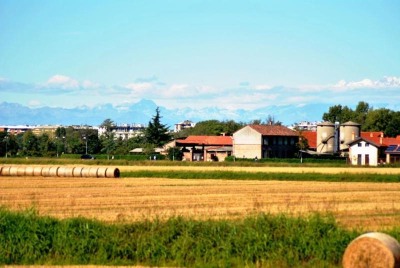 米兰卡希纳巴提瓦克农家乐的一座农场,有田野和建筑背景