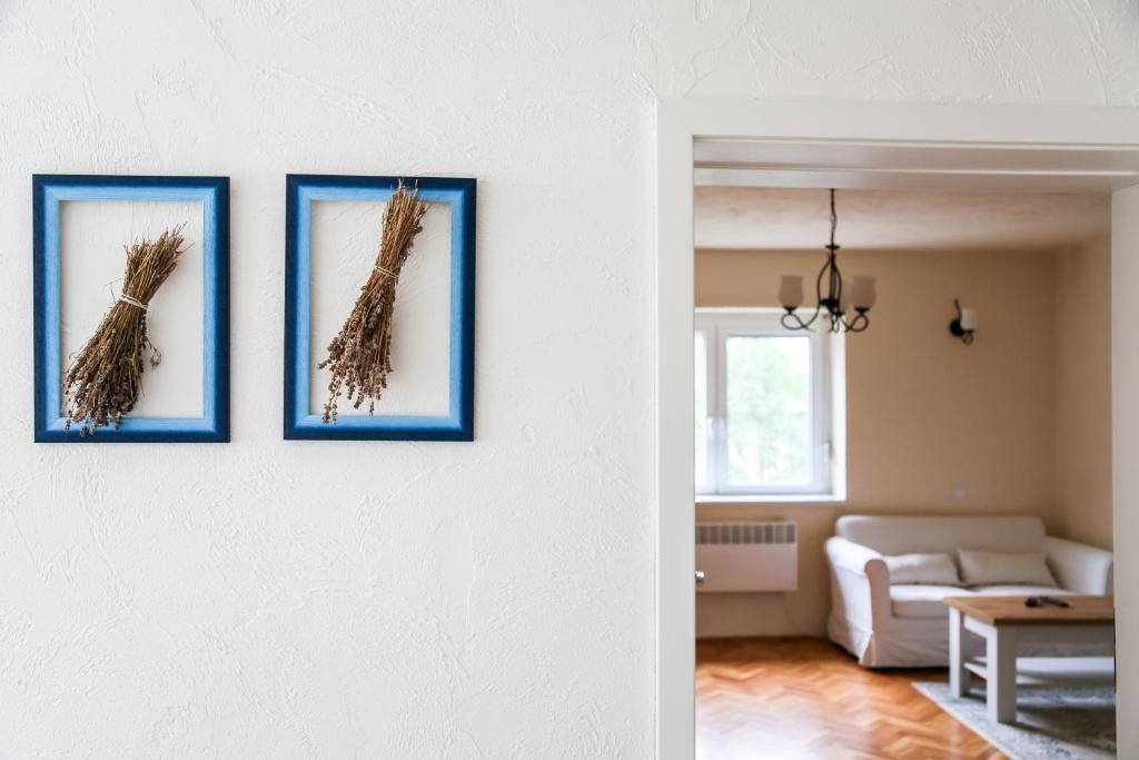 陶尔曹尔Angelina Vendégház的客厅墙上有三张鸟的照片