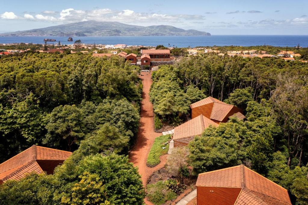马达莱纳Alma do Pico - Nature Residence的享有树木和海洋的村庄的空中景致