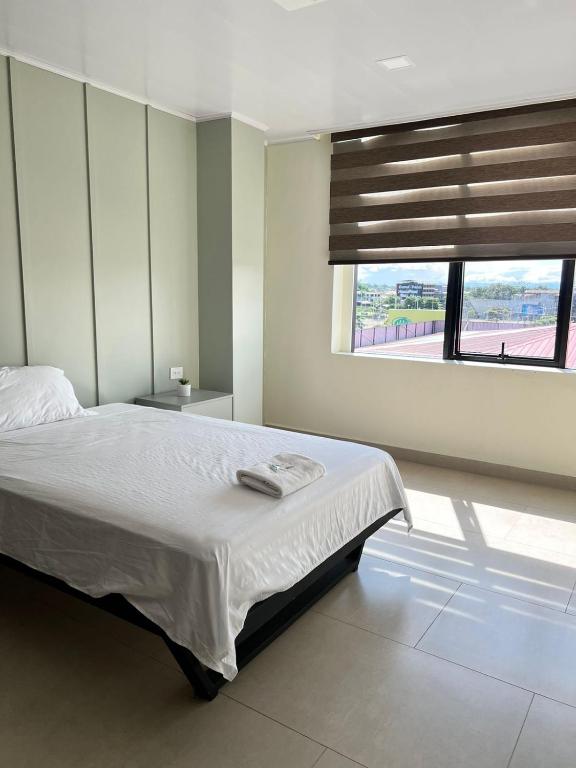 新洛哈Hotel Amazonas Suite , habitación sencilla的一间卧室设有一张大床和一个窗户。