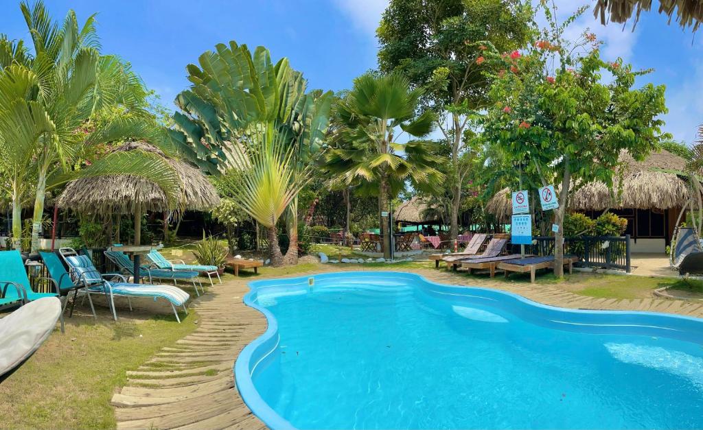 帕洛米诺Bikini Hotel & Pool的一个带椅子和树木的度假村游泳池