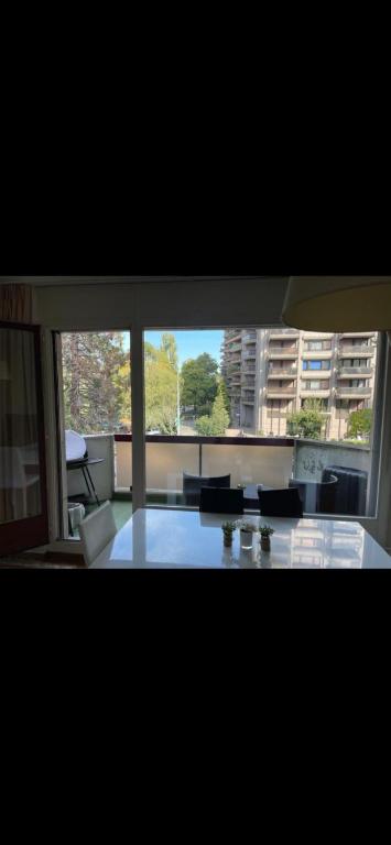 日内瓦Appartement Genève Champel的享有带大窗户的客厅的景色