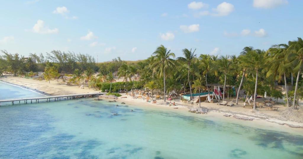 女人岛Mayan Monkey Isla Mujeres的棕榈树海滩的空中景致