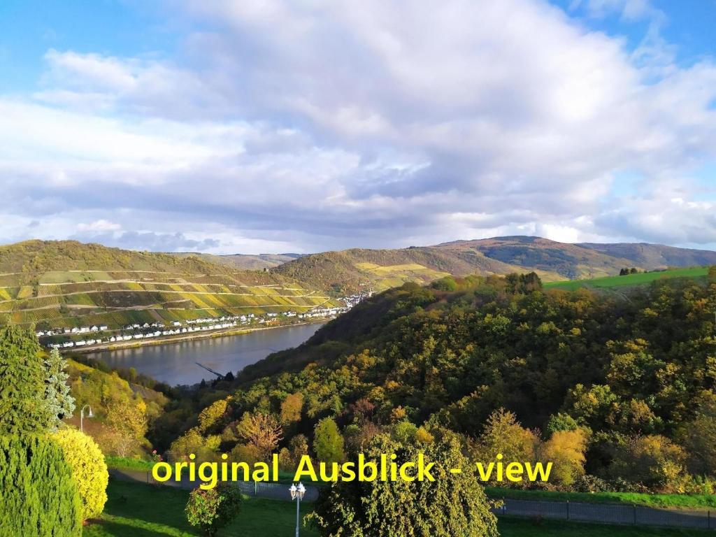 巴哈拉赫Ferienwohnung mit Balkon und Rheinblick的河流和桥梁的空中景观