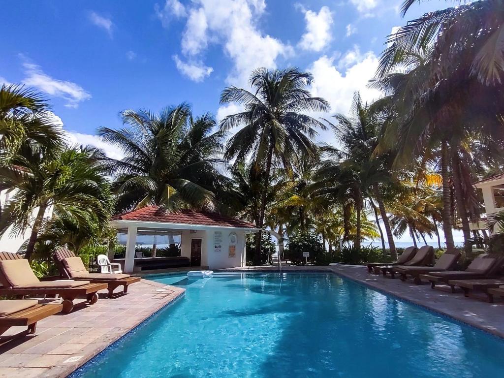 圣佩德罗Tradewinds Paradise Villas的一个带椅子的游泳池,棕榈树