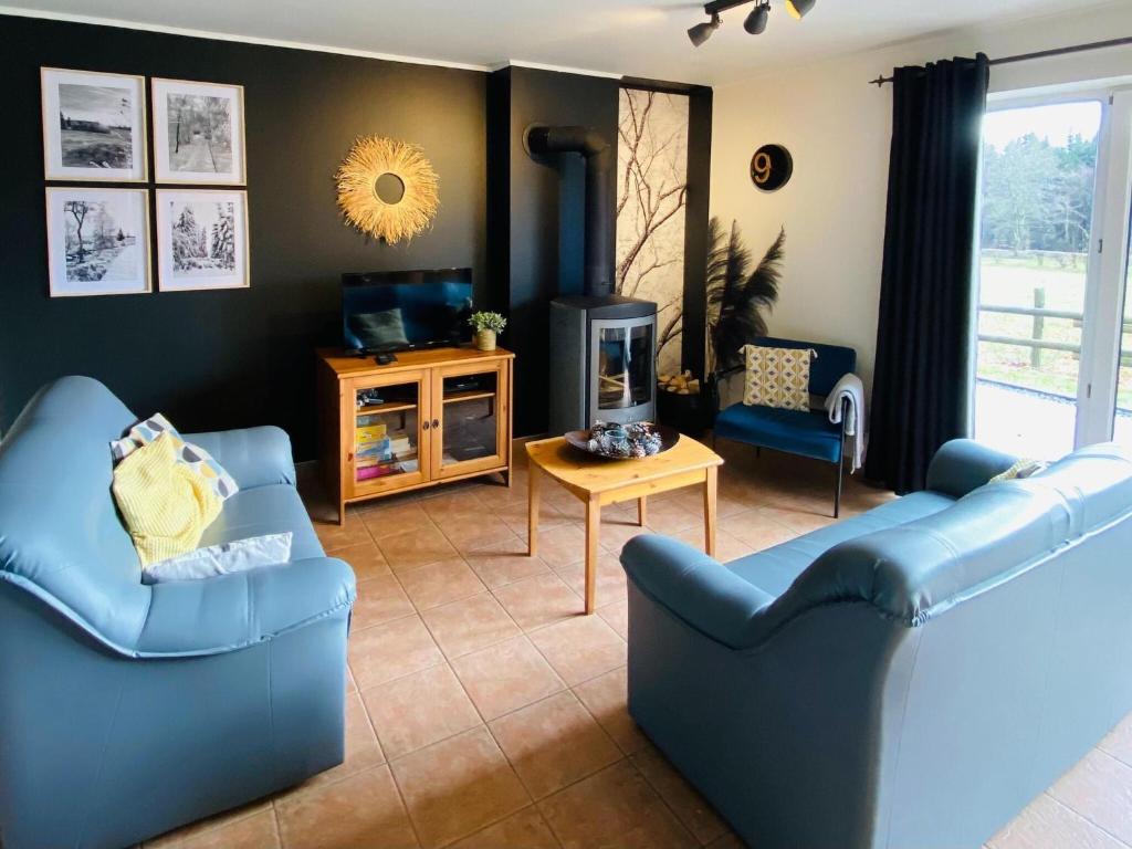 索尔布罗特Picture perfect Holiday Home in Sourbrodt with Garden BBQ的客厅配有2张蓝色沙发和电视