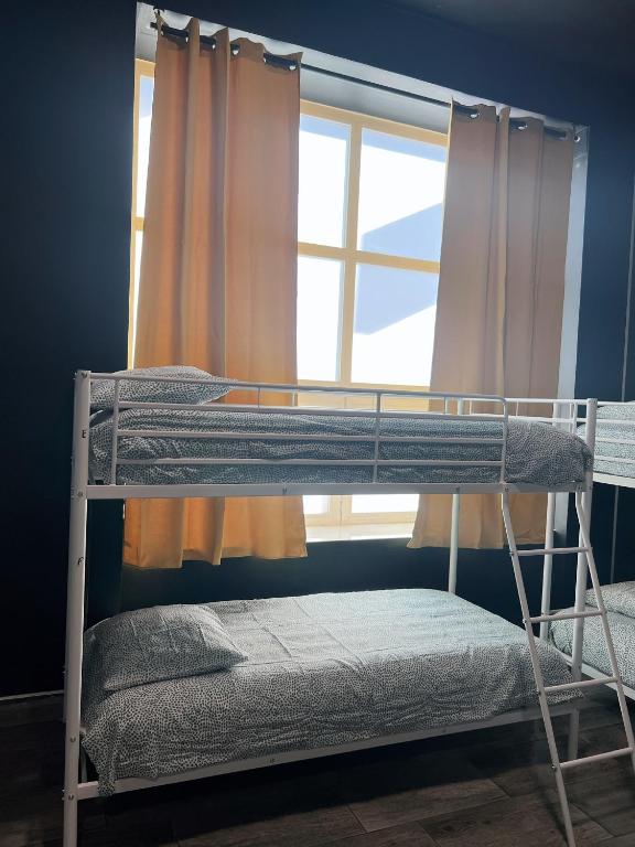 Hostel Rio客房内的一张或多张双层床