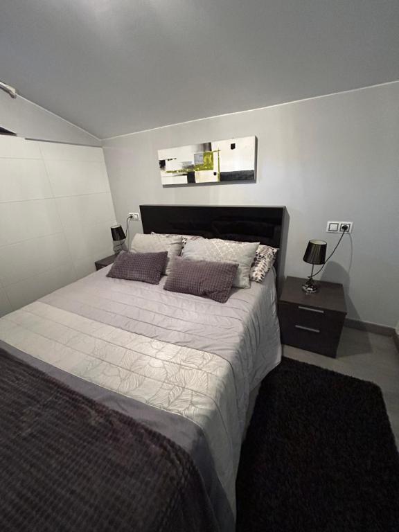 蓬特克苏斯A casa da charca的一间卧室配有一张大床和两个枕头