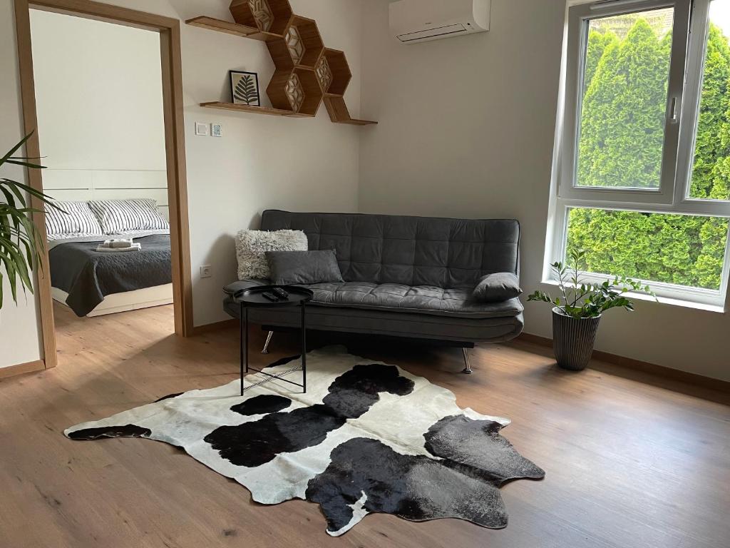 塞格德Hexagon Apartman Szeged的带沙发和地毯的客厅