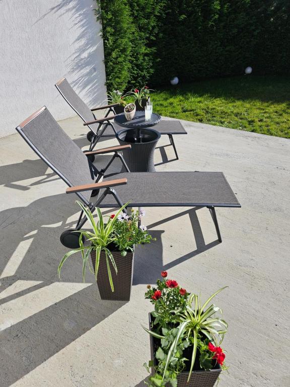 梅迪亚什Concept Urban的一张带两把椅子和盆栽的野餐桌